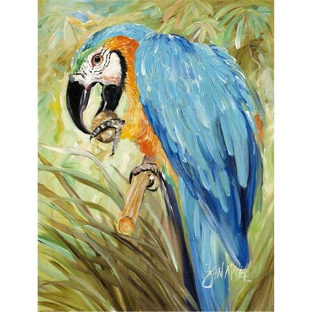 Carolines Treasures Blue Parrots Flag Canvas House Size JMK1147CHF